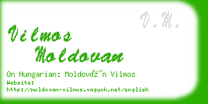 vilmos moldovan business card